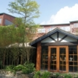 南投二天一日遊@埔里美食．牛耳雕之森樹屋餐廳